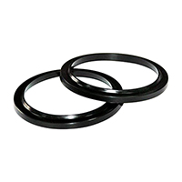 Tri-Clamps Gasket 墊圈